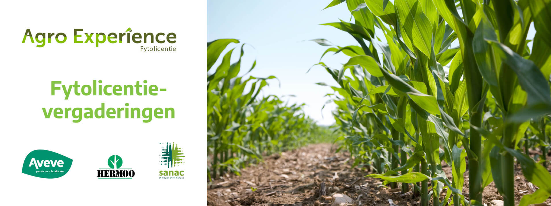 Fytolicentievergadering Glabbeek cover image